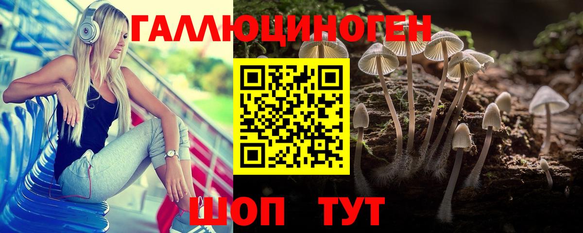 Псилоцибиновые грибы Psilocybe Киржач
